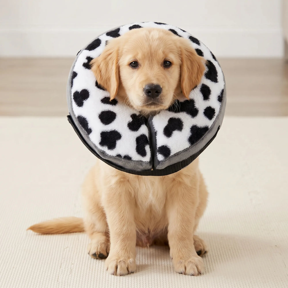 Cow Print Inflatable Protective Collar