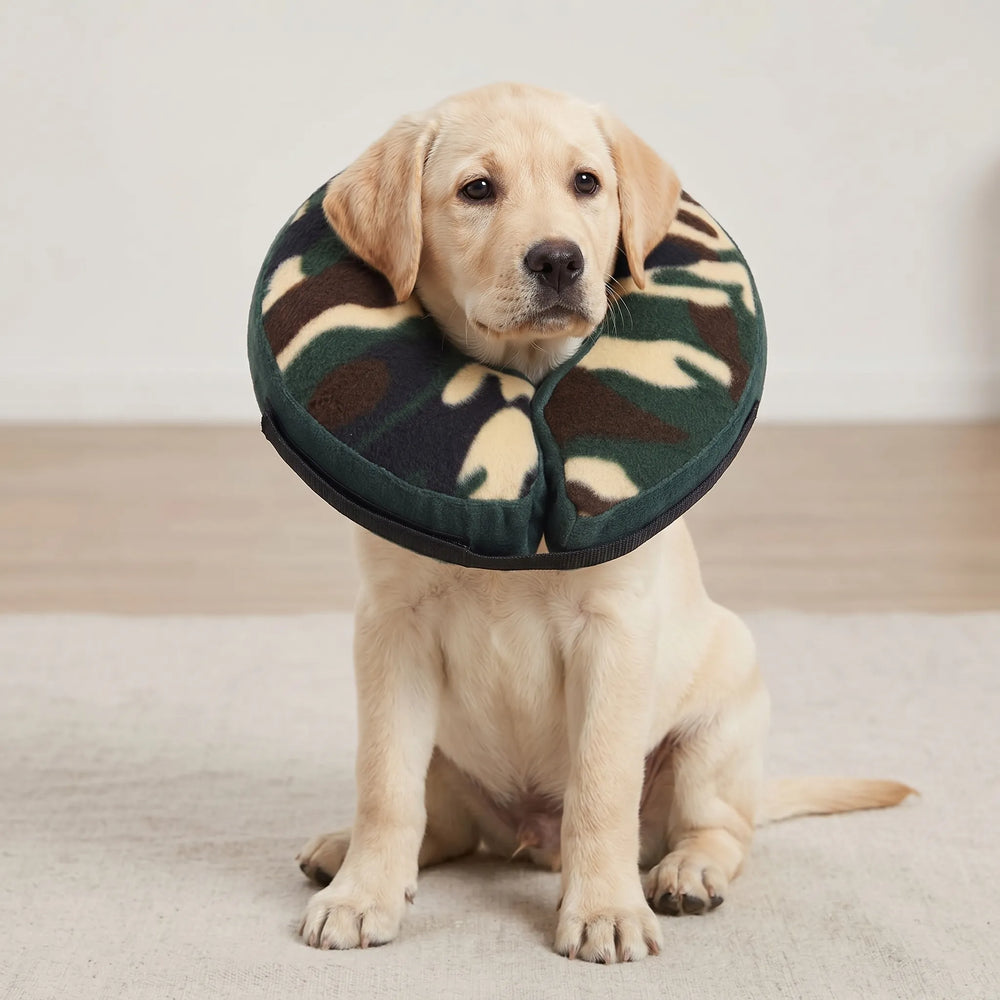 Inflatable Recovery Collar