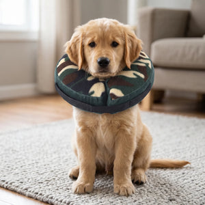 Inflatable Recovery Collar