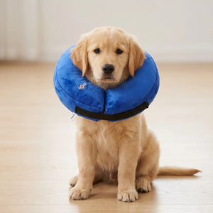 Inflatable protective cover