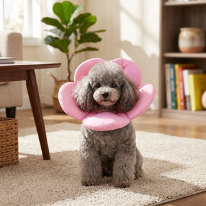 Elizabethan collar with multiple floral color options