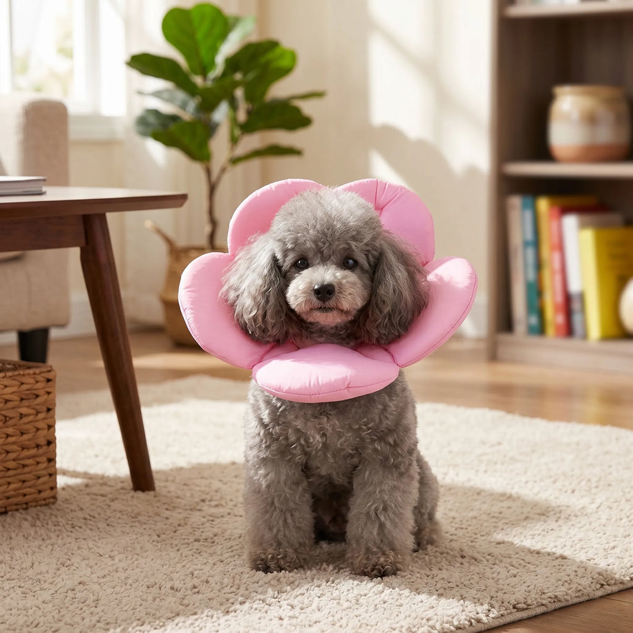 Elizabethan collar with multiple floral color options