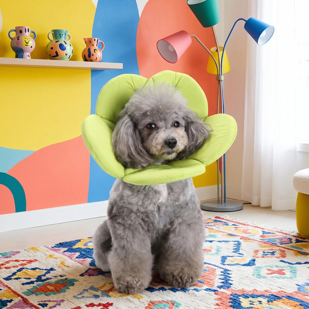 Elizabethan collar with multiple floral color options