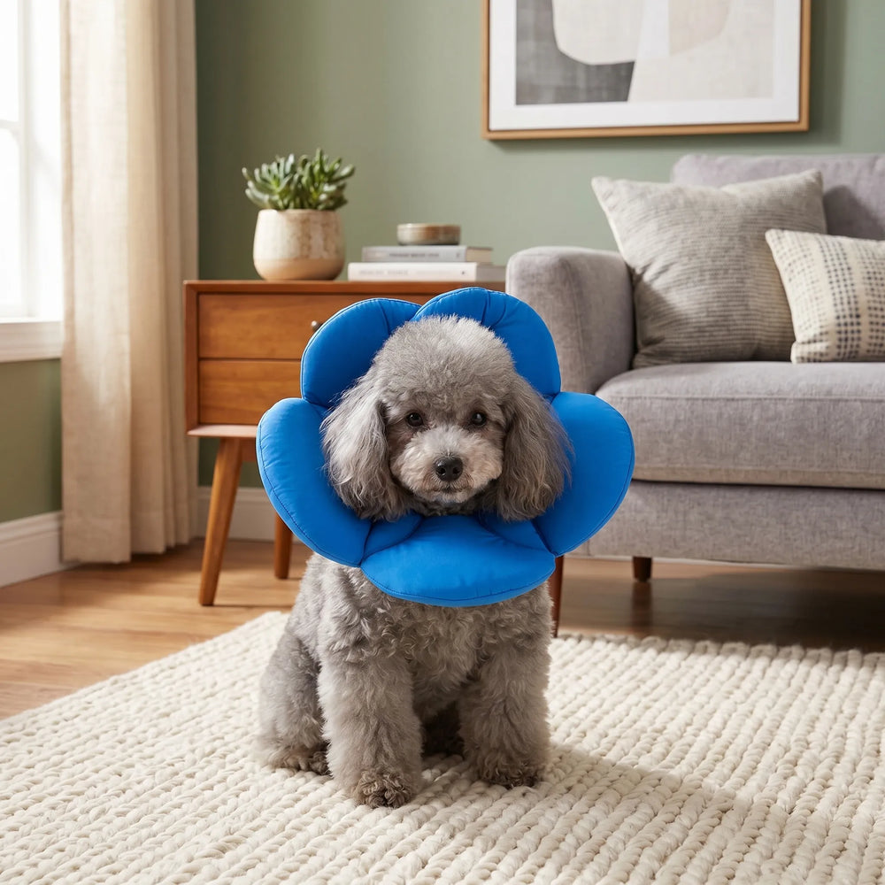 Elizabethan collar with multiple floral color options