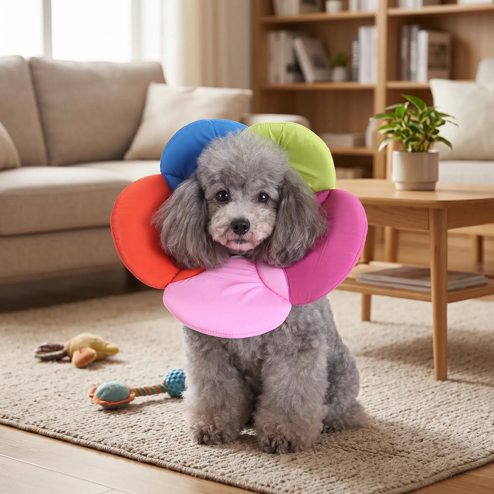 Elizabethan collar with multiple floral color options