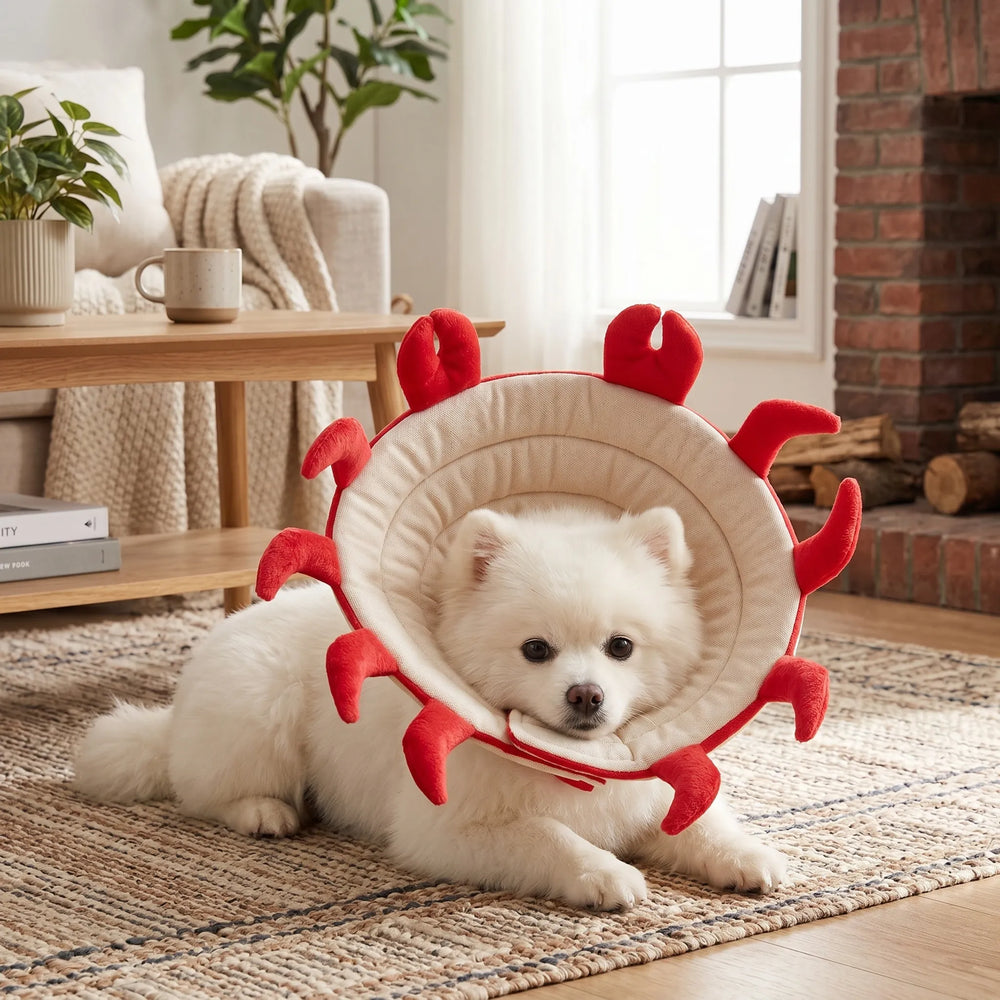 Crab-shaped Elizabethan collar