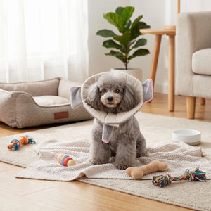 Elephant-shaped Elizabethan collar