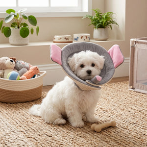 Elephant-shaped Elizabethan collar