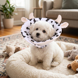 Cow-themed Elizabethan collar