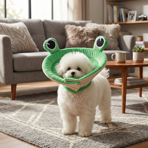 Frog-shaped Elizabethan collar