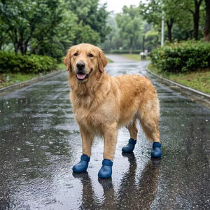 Tamecare Waterproof Silicone Dog Boots