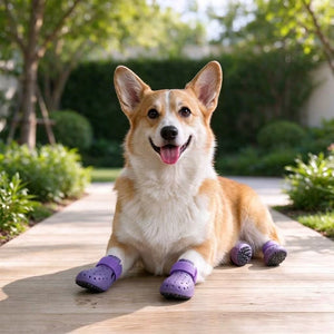 Tamecare Comfy Pet Hole Shoes for Dogs