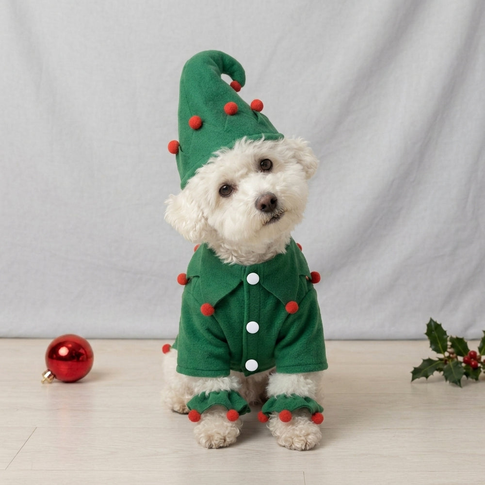Tamecare Green Felt Elf Dog Costume with Hat and Ankle Cuffs