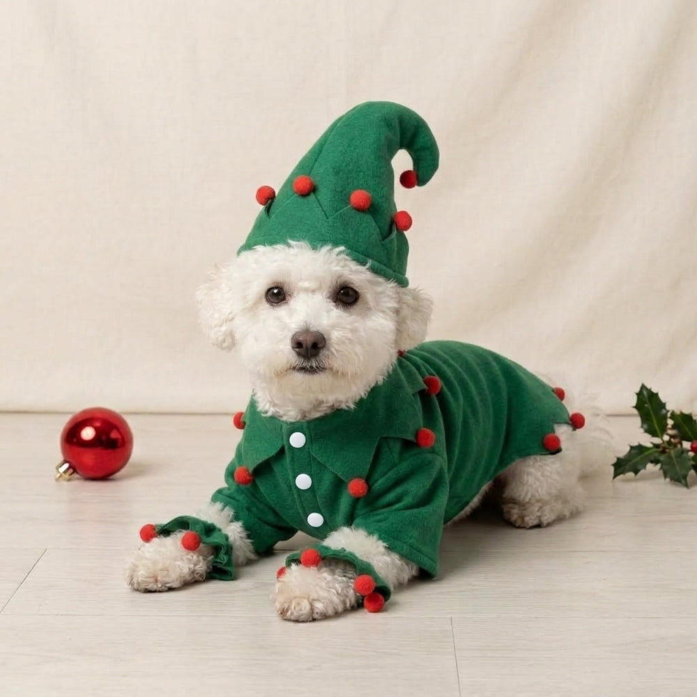 Tamecare Green Felt Elf Dog Costume with Hat and Ankle Cuffs