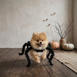 Tamecare Spider Dog Costume, Black Halloween Outfit