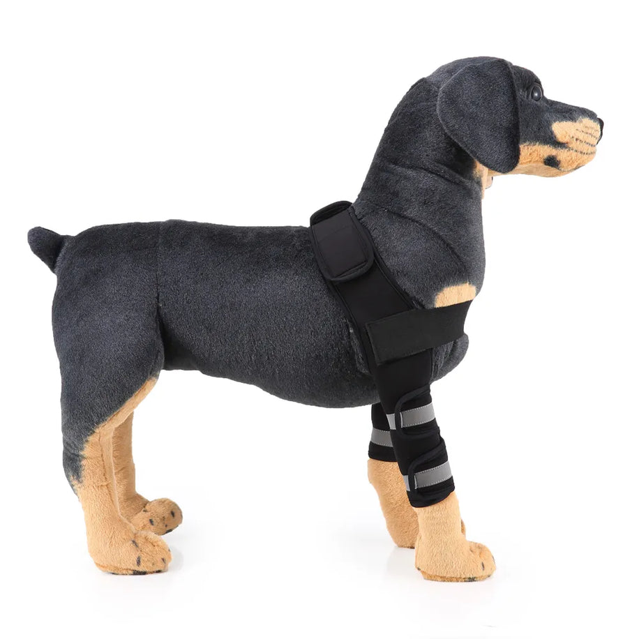 Pet leg braces