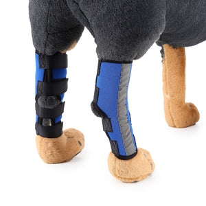 Beinschienen für Haustiere - HJ10