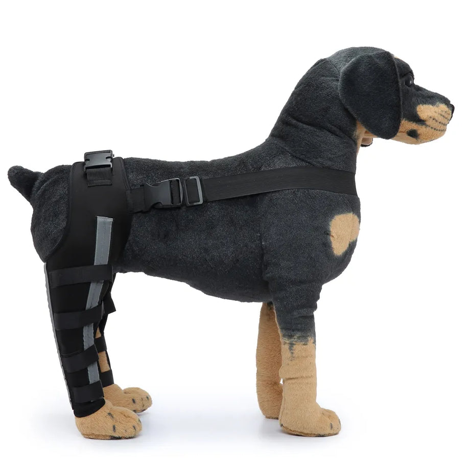 Tamecare Double Rear-Leg Dog Brace, Reflective Support-Bar Harness