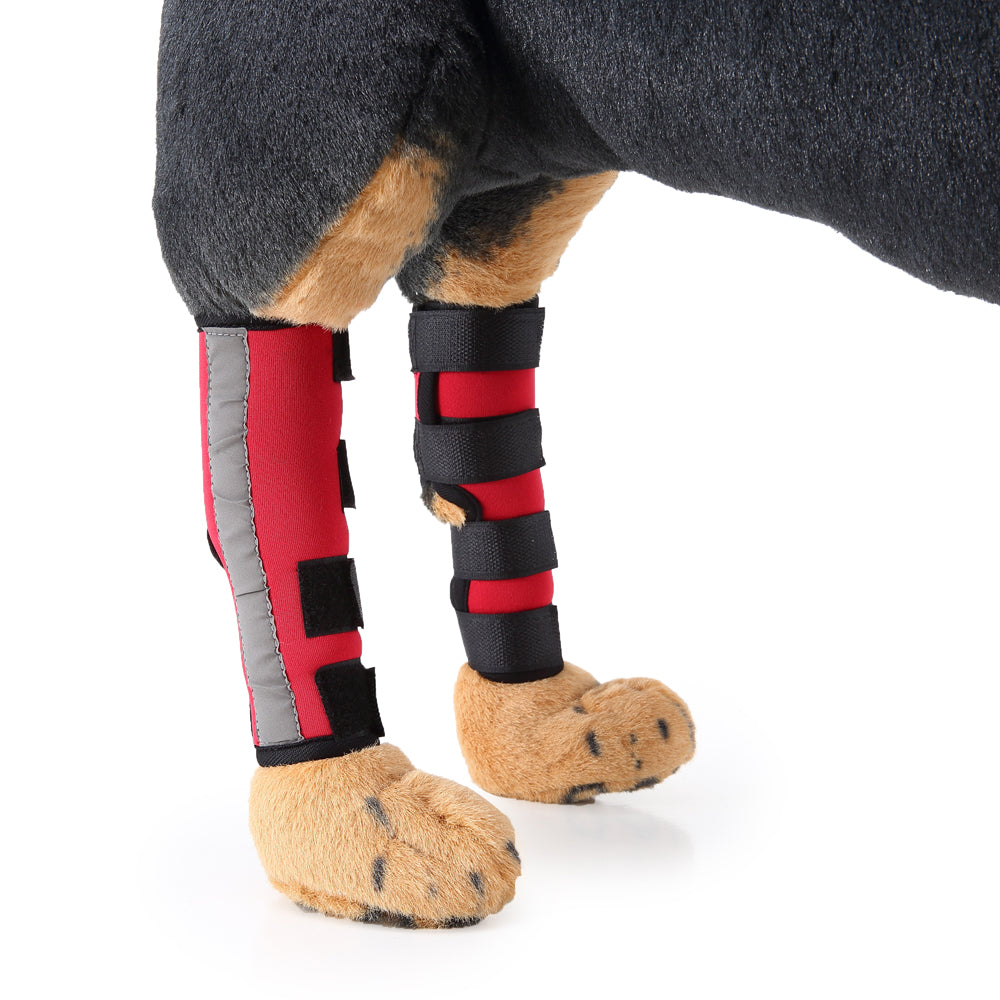 Beinschienen für Haustiere - HJ10