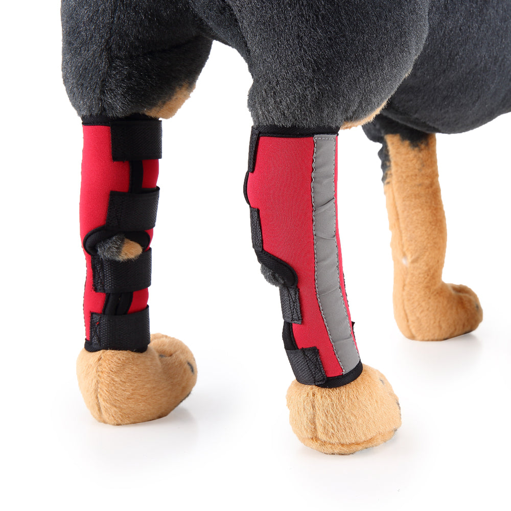 Beinschienen für Haustiere - HJ10