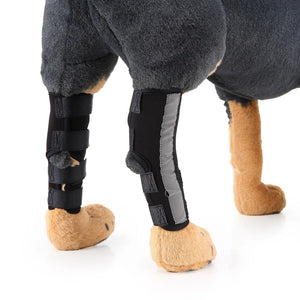 Beinschienen für Haustiere - HJ10