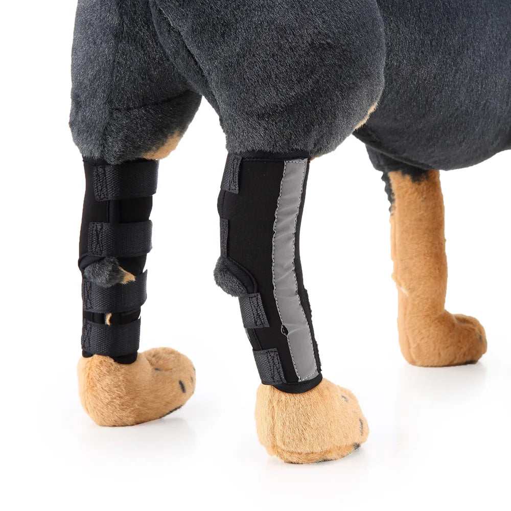 Beinschienen für Haustiere - HJ10