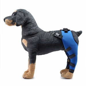 Beinorthesen für Haustiere – HJ25