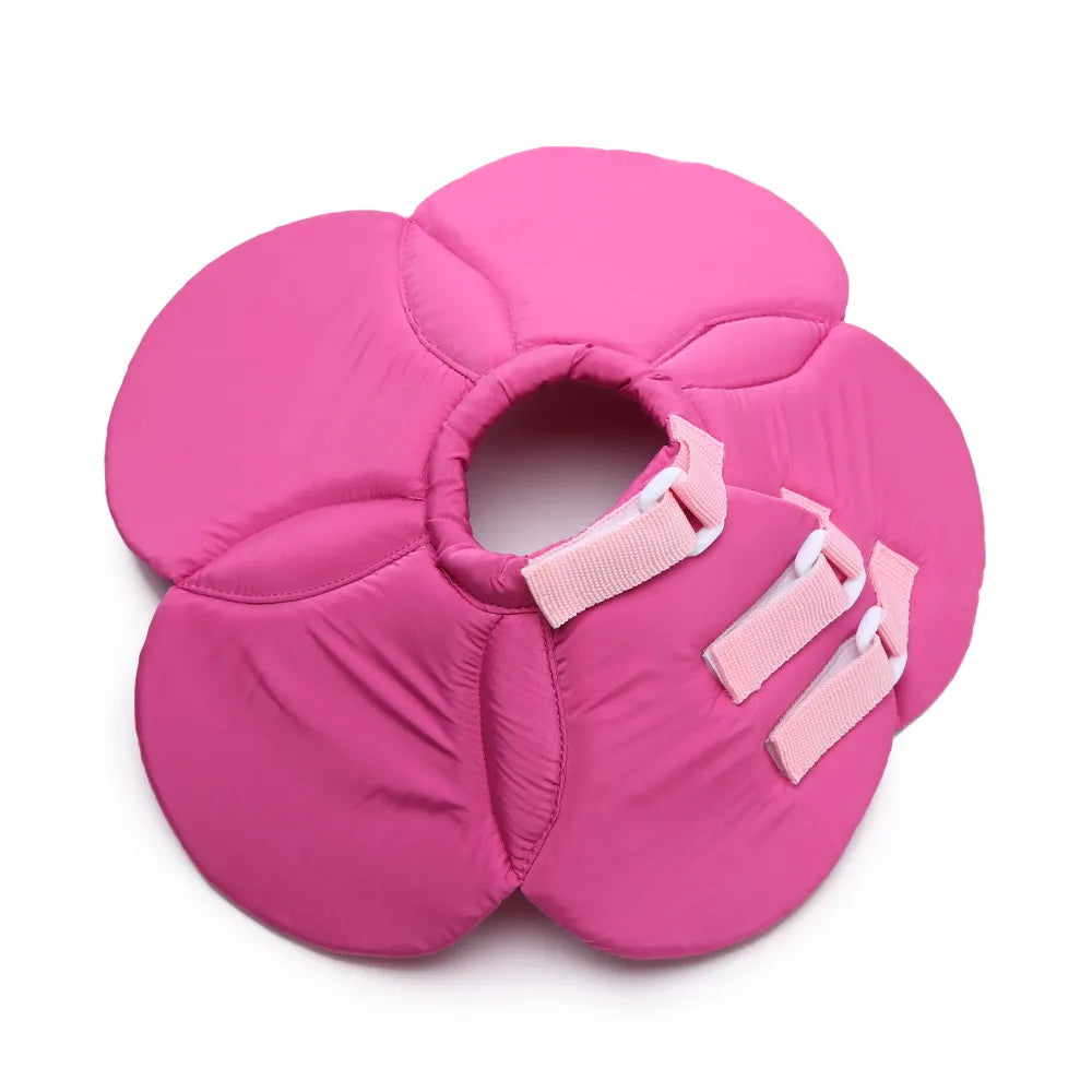 Elizabethan collar with multiple floral color options