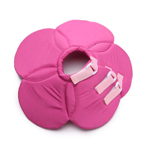 Elizabethan collar with multiple floral color options