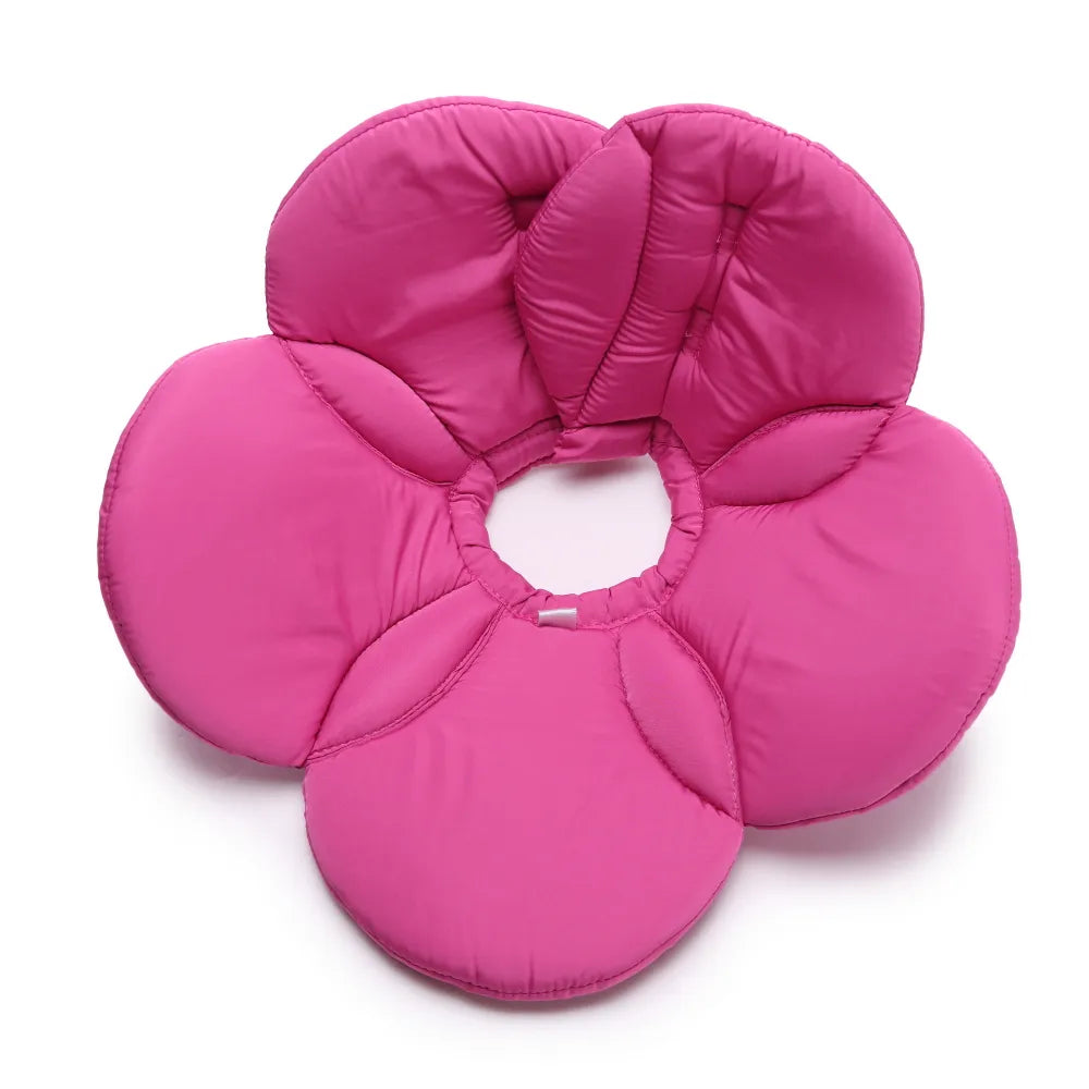 Elizabethan collar with multiple floral color options