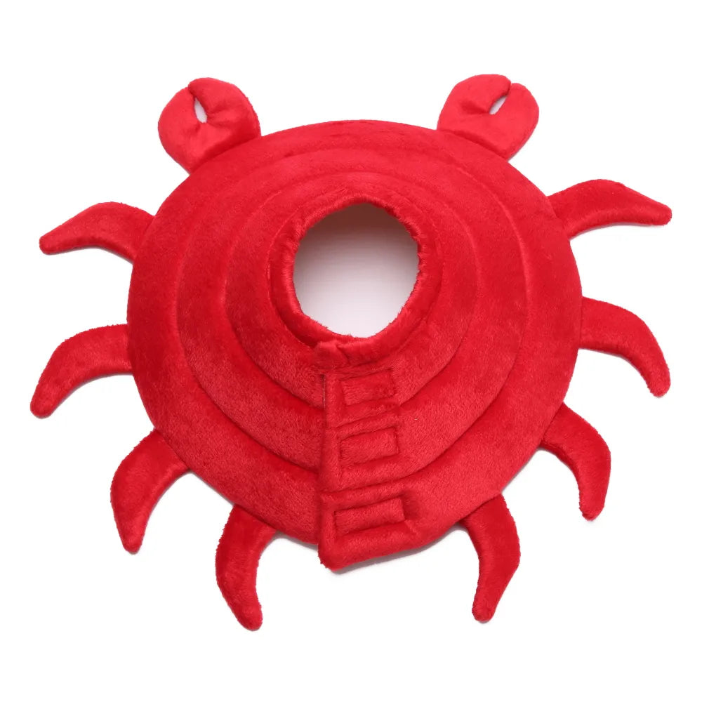 Crab-shaped Elizabethan collar