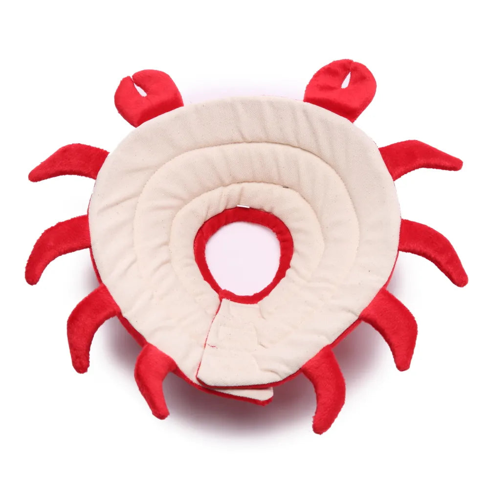 Crab-shaped Elizabethan collar