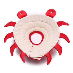 Crab-shaped Elizabethan collar