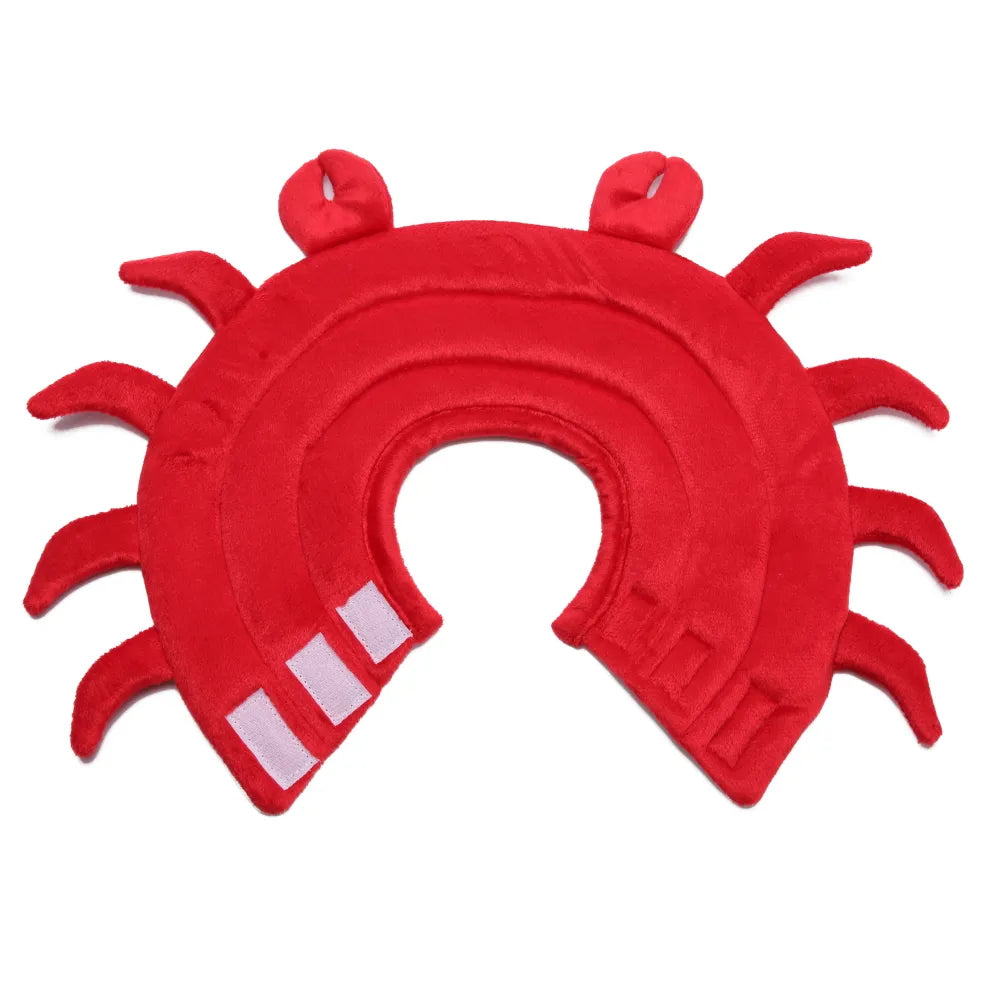 Crab-shaped Elizabethan collar