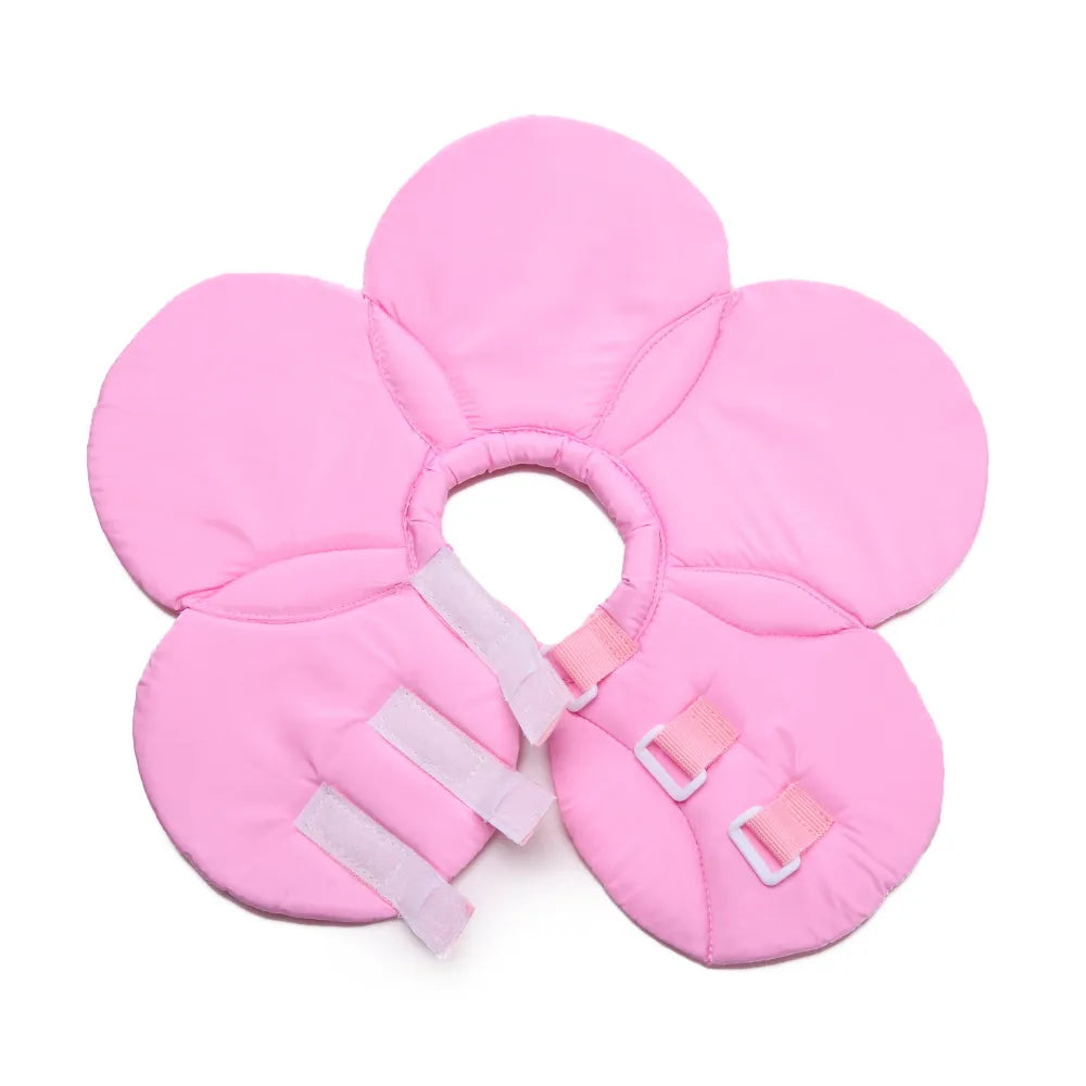 Elizabethan collar with multiple floral color options