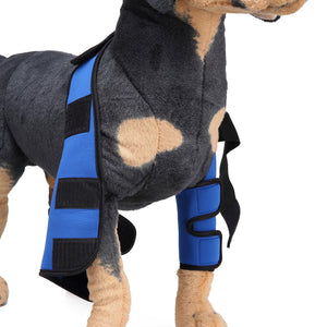 Tamecare Front Double-Leg Dog Brace, Classic Gen-1 Support