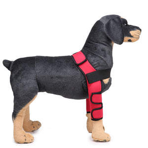 Tamecare Front Double-Leg Dog Brace, Classic Gen-1 Support