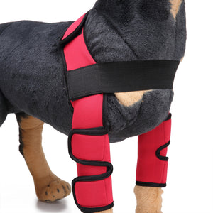 Tamecare Front Double-Leg Dog Brace, Classic Gen-1 Support