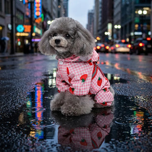 Cute Gingham Strawberry Dog Rain Jacket