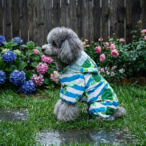 Turtle Print Four-Legged Dog Raincoat