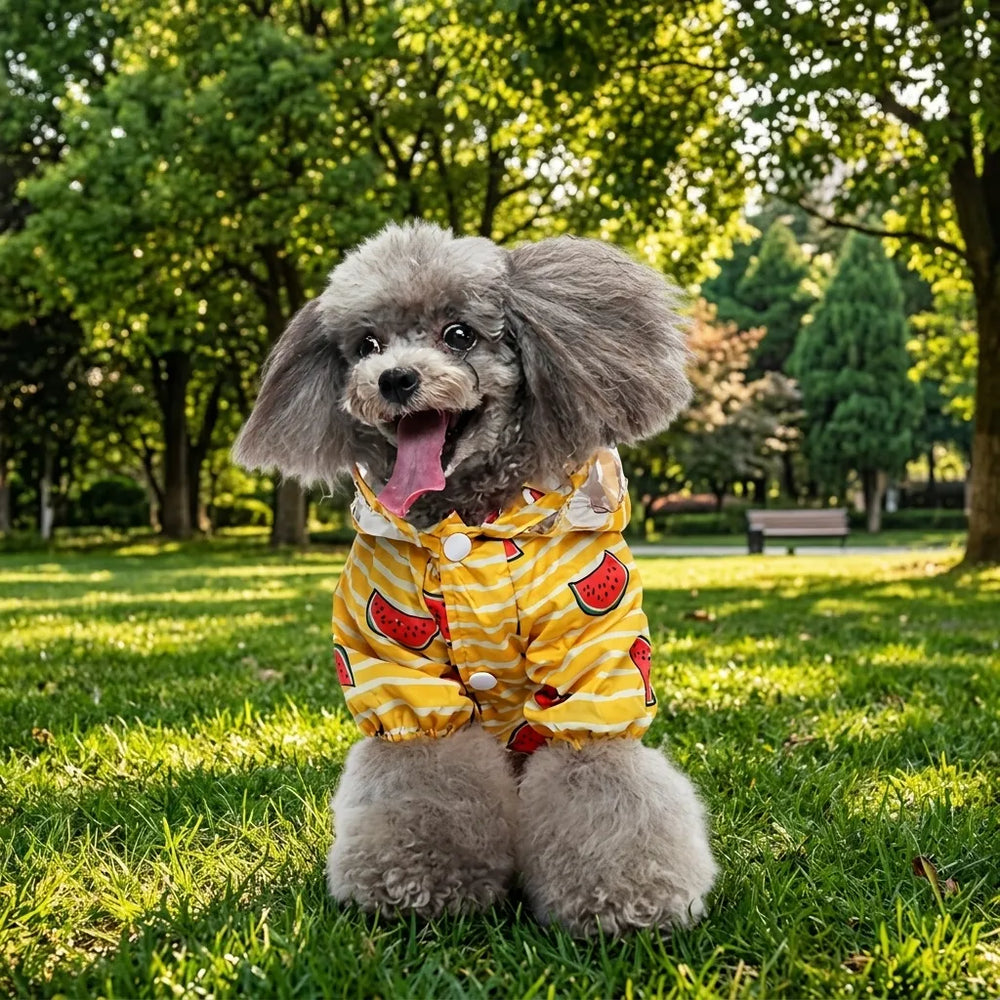 Watermelon Print Four-Legged Dog Raincoat with Harness