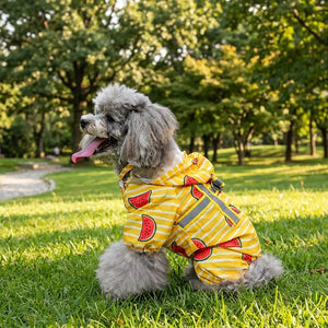 Watermelon Print Four-Legged Dog Raincoat with Harness