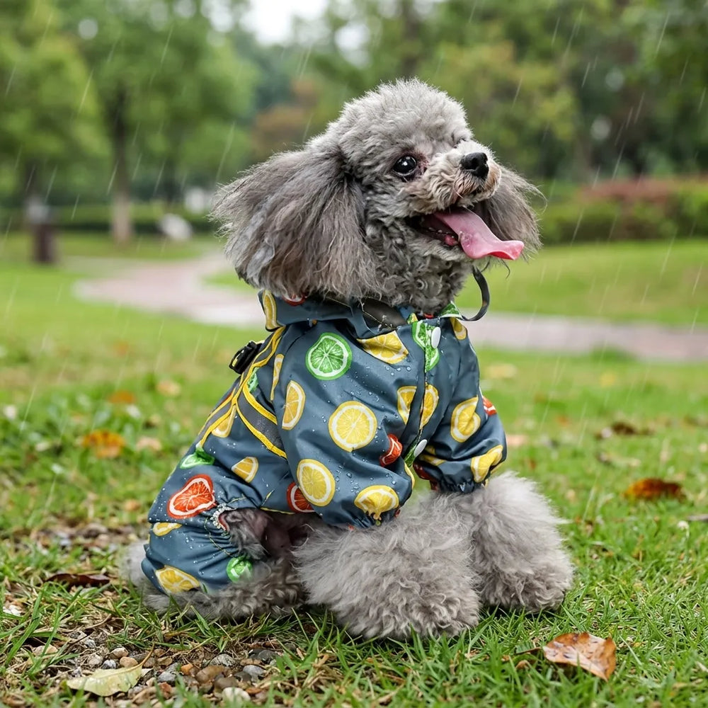 Lemon Print Dog Raincoat With Hood