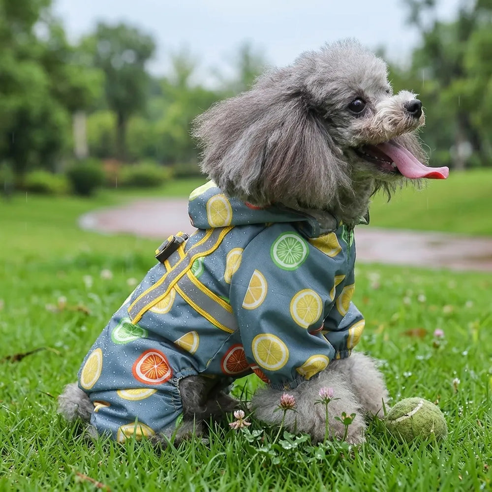 Lemon Print Dog Raincoat With Hood