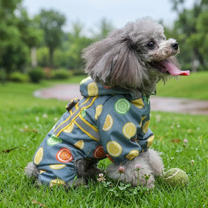 Lemon Print Dog Raincoat With Hood
