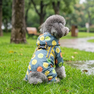 Lemon Print Dog Raincoat With Hood