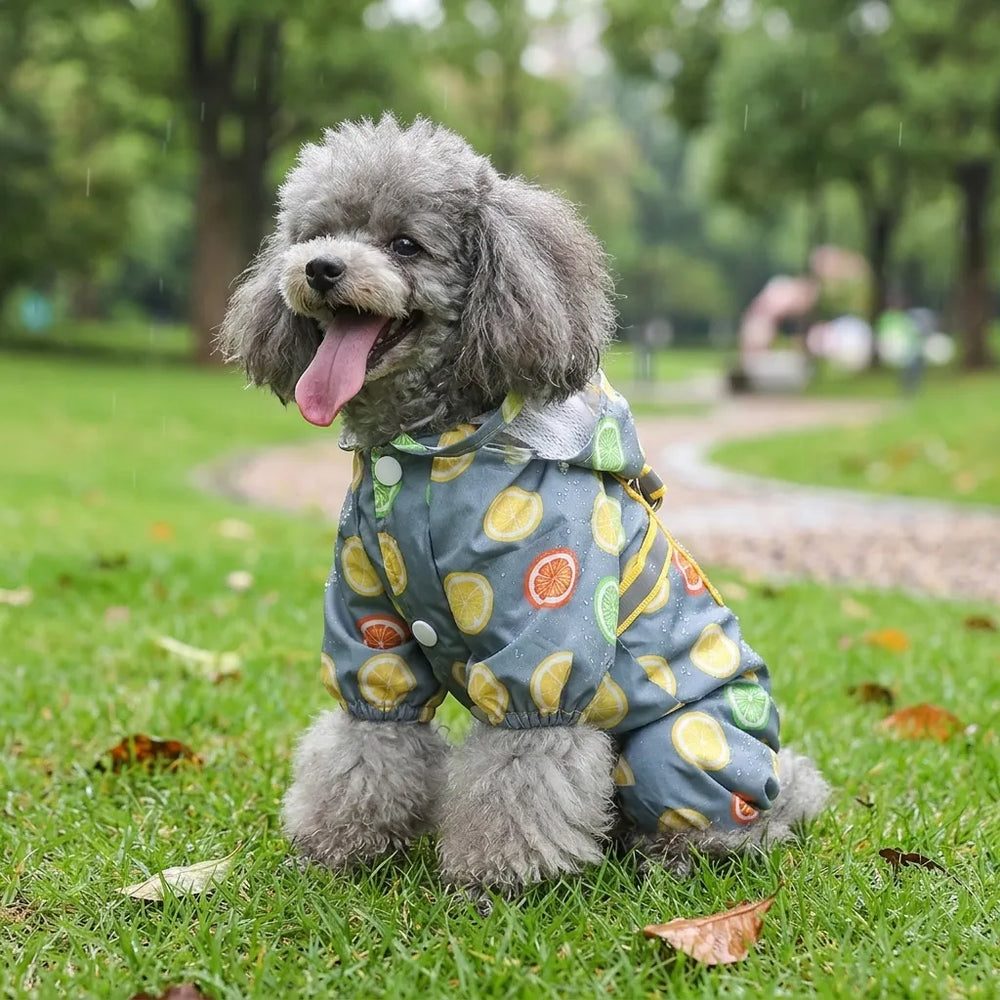 Lemon Print Dog Raincoat With Hood