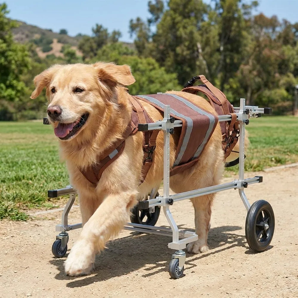 Tamecare Medium Dog Full-Support 4-Wheel Wheelchair, Gray Frame