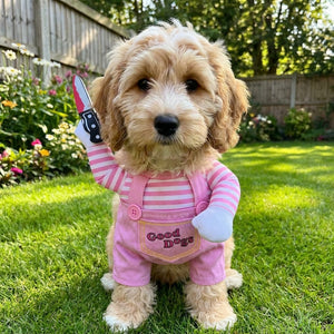 Funny Chucky Dog Pet Costume