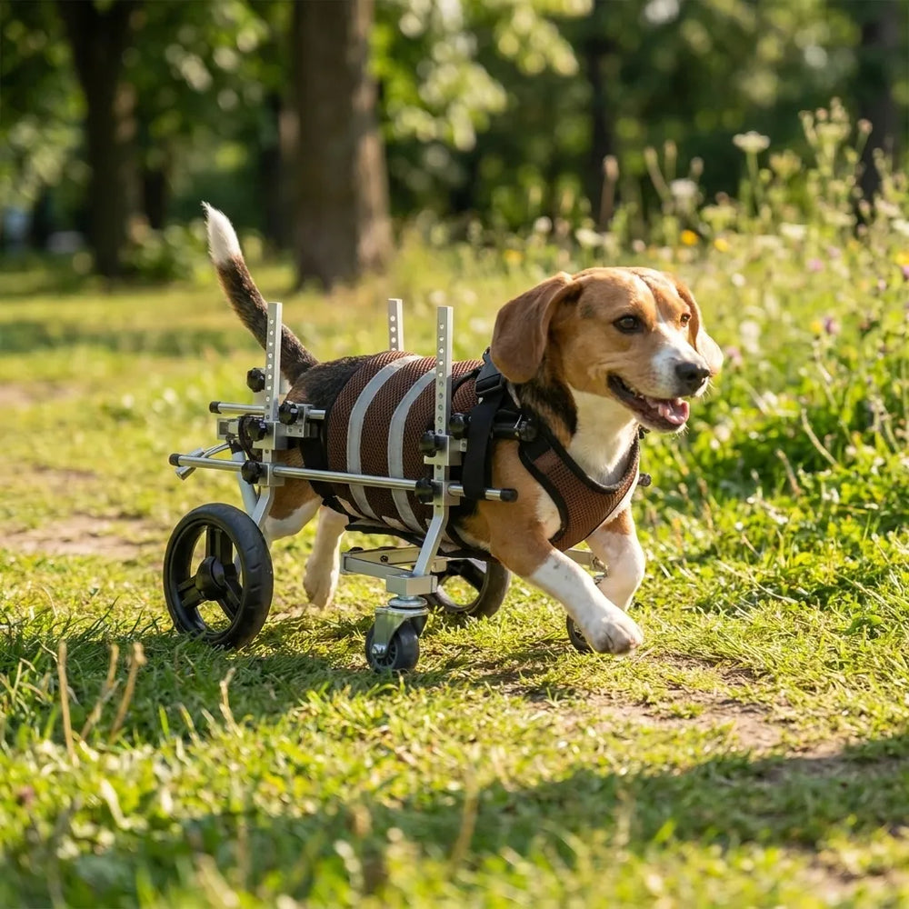 Tamecare Wheels Vollunterstützung/4-Rad für kleine Rassen - MQ-CJC08